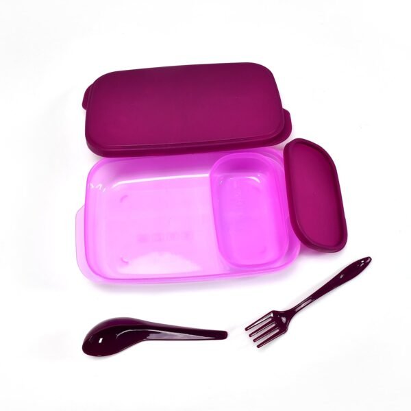 Unbreakable Divine Leak Proof Plastic Lunch Box Food Grade Plastic BPA-Free 2 Containers with Spoon - Image 4