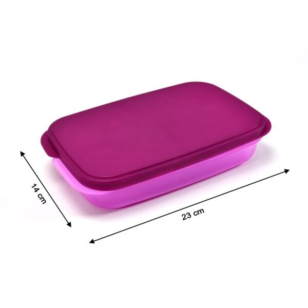 Unbreakable Divine Leak Proof Plastic Lunch Box Food Grade Plastic BPA-Free 2 Containers with Spoon - Image 7