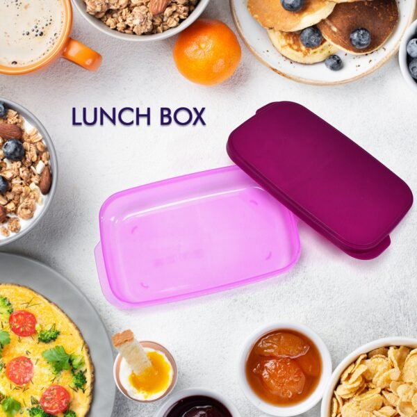 Unbreakable Divine Leak Proof Plastic Lunch Box Food Grade Plastic BPA-Free 2 Containers with Spoon - Image 3