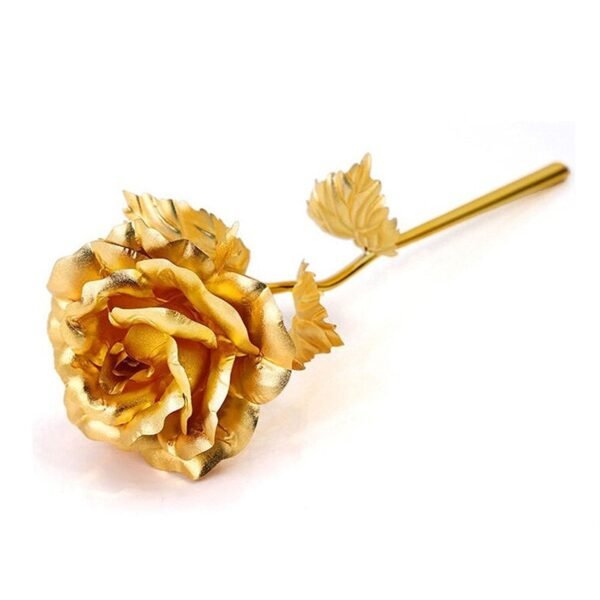 B Golden Rose used in all kinds of places like household, offices, cafe's, etc. for decorating and to look good purposes and all. - Image 4