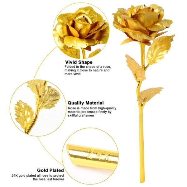 B Golden Rose used in all kinds of places like household, offices, cafe's, etc. for decorating and to look good purposes and all. - Image 7